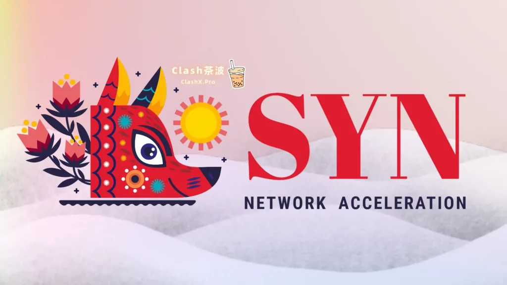 SYN Network 机场加速器