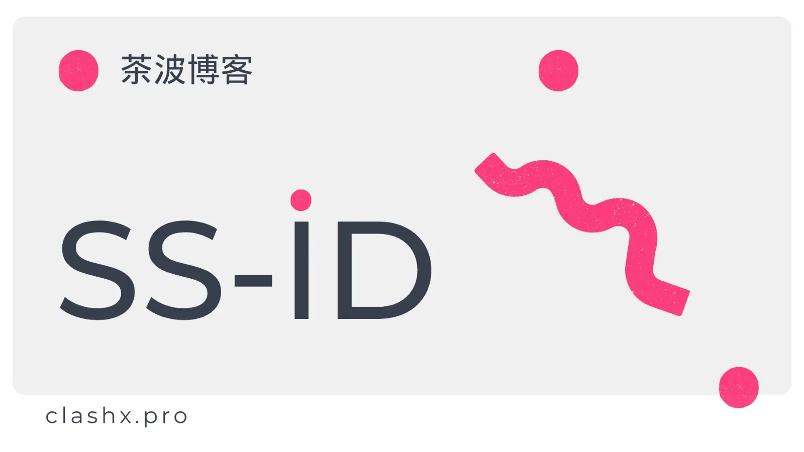 SS-ID 机场官网 