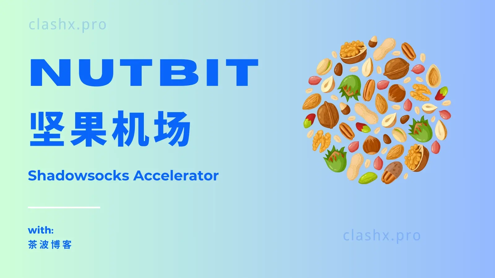 Nutbit 坚果机场官网