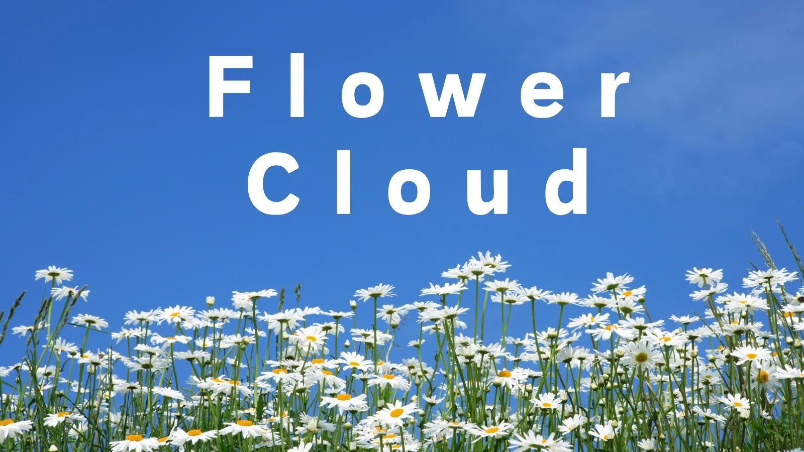 Flower Cloud 花云机场